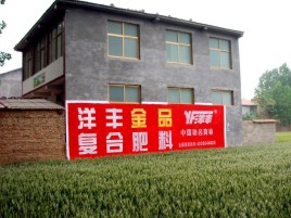 祁阳如何让墙体广告展现最大化效果