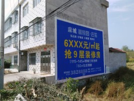 祁阳墙体广告质量分析