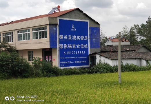 祁阳决定墙体广告价格的因素有哪些？