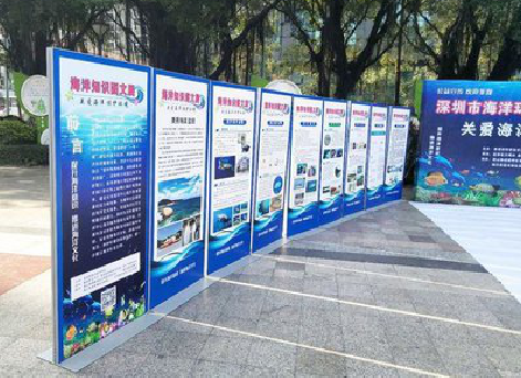 祁阳KT板的种类和知识。